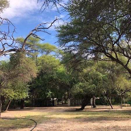 Sitatunga Campsite Maun Kültér fotó