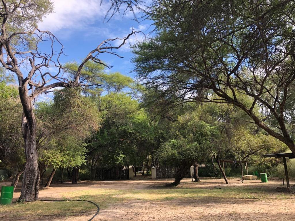 Sitatunga Campsite Maun Kültér fotó