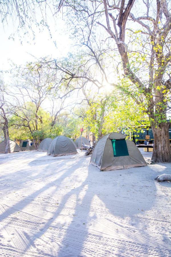 Sitatunga Campsite Maun Kültér fotó